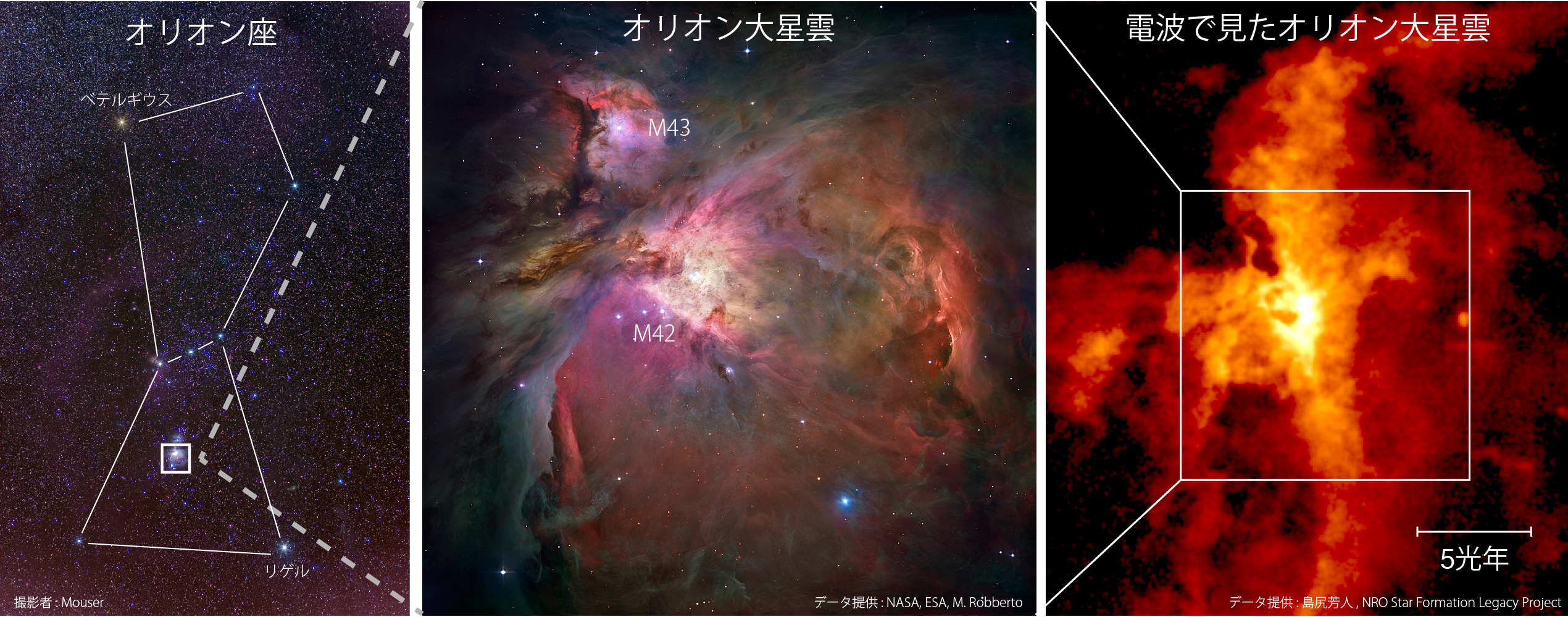 オリオン大星雲の起源を解明 分子雲衝突による巨大星形成を立証 プレスリリース 18 6 21